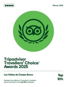 Logo Trip Advisor Award