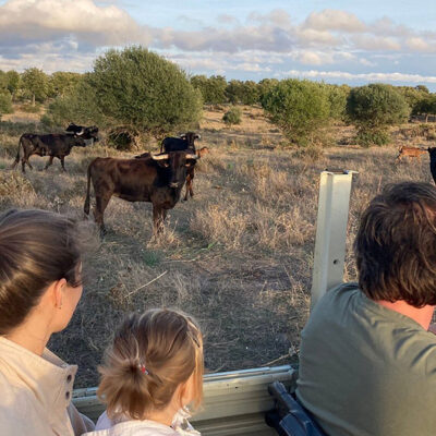 Image pour le nombre de choix 1
