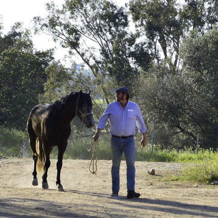 8007659-1465209508-300x300web