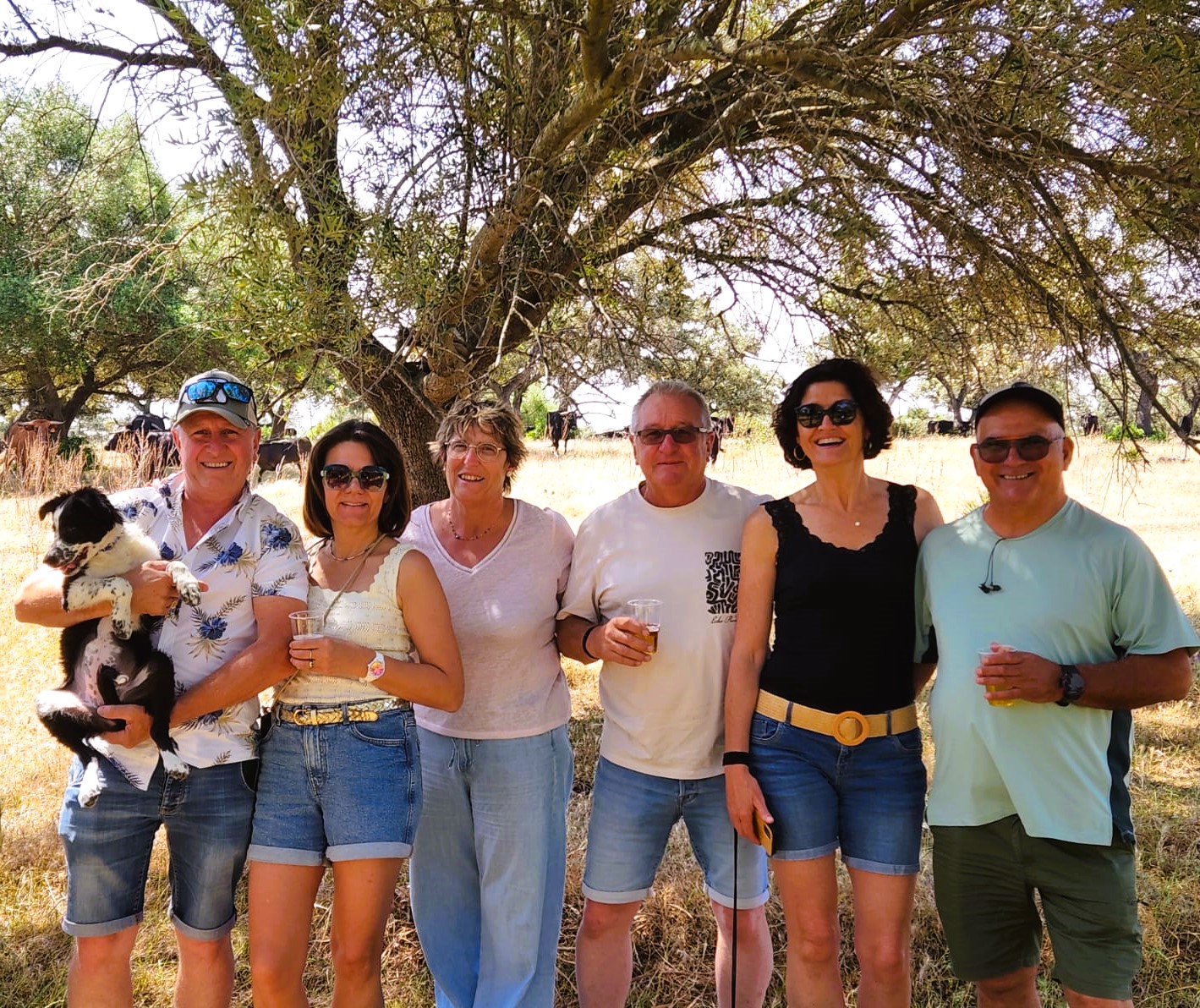 Visite ganaderia a Seville, une pause dans les champs autour d'un verre