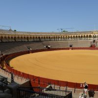 familytour-corrida-1119333_1280